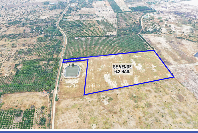 TERRENO DE 6.2 HAS - Oportunidad de Inversión en La Atea – Piura